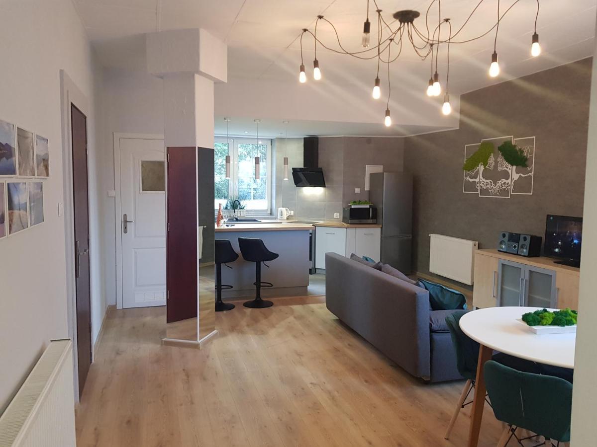 Apartamenty Paszkowka Pietrzykowice  المظهر الخارجي الصورة