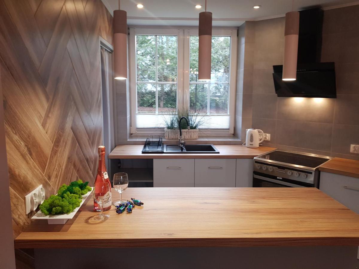 Apartamenty Paszkowka Pietrzykowice  المظهر الخارجي الصورة